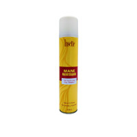 INSETTE Mane Maintenance sausais šampūns matiem 200ml | Multum