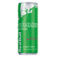 RED BULL Green Edition Kaktuso energetinis gėrimas 250ml | Multum