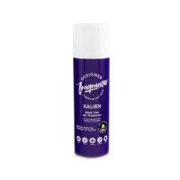 DIZAINERIŲ KVAPAI Xalien Oro gaiviklis 300ml | Multum